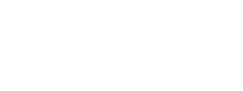 AIS Elite Dealer